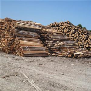 Wood Energy (Biomass)